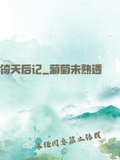 倚天后记