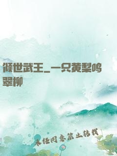 倾世武王