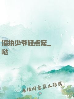 偏执少爷轻点宠