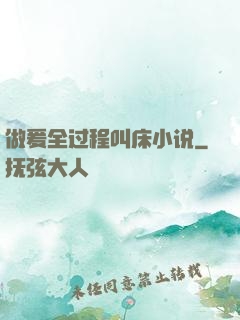 做爰全过程叫床小说