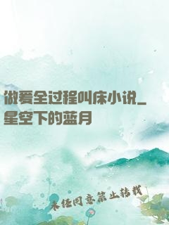 做爰全过程叫床小说