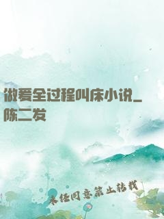 做爰全过程叫床小说