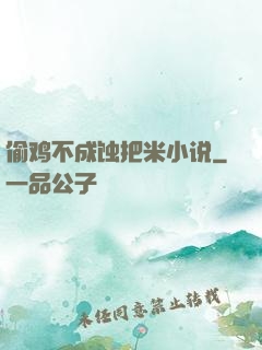 偷鸡不成蚀把米小说