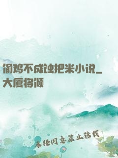 偷鸡不成蚀把米小说