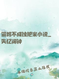 偷鸡不成蚀把米小说