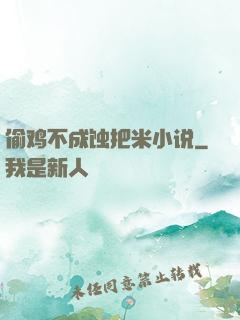 偷鸡不成蚀把米小说