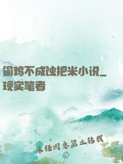 偷鸡不成蚀把米小说