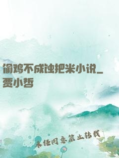 偷鸡不成蚀把米小说