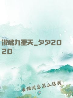 傲啸九重天