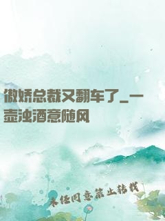 傲娇总裁又翻车了
