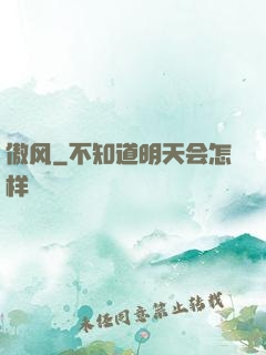 傲风