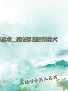 儒术
