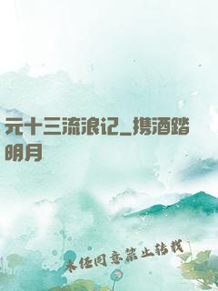 元十三流浪记
