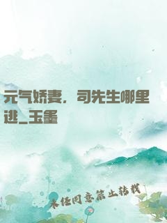元气娇妻，司先生哪里逃