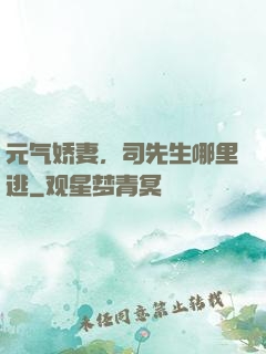 元气娇妻，司先生哪里逃