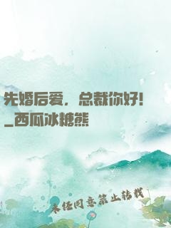 先婚后爱，总裁你好！