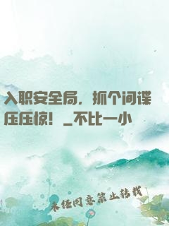 入职安全局，抓个间谍压压惊！