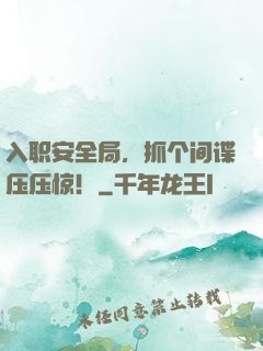 入职安全局，抓个间谍压压惊！