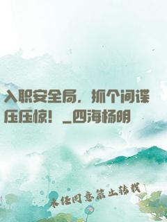 入职安全局，抓个间谍压压惊！