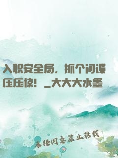 入职安全局，抓个间谍压压惊！
