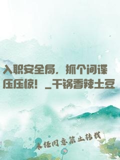 入职安全局，抓个间谍压压惊！