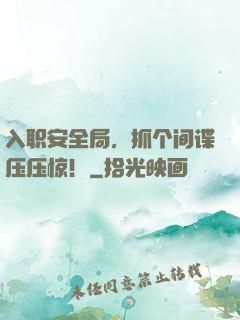 入职安全局，抓个间谍压压惊！