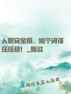 入职安全局，抓个间谍压压惊！