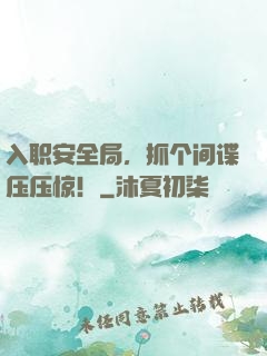 入职安全局，抓个间谍压压惊！