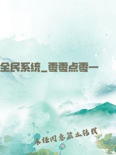 全民系统