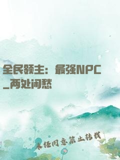 全民领主：最强NPC