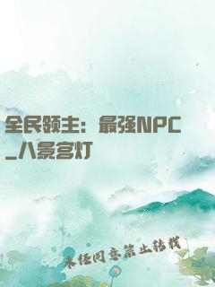 全民领主：最强NPC