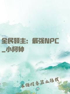 全民领主：最强NPC