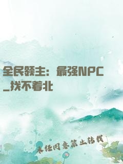 全民领主：最强NPC