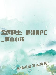 全民领主：最强NPC