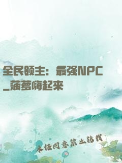 全民领主：最强NPC