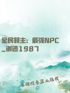 全民领主：最强NPC
