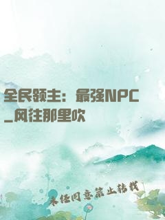 全民领主：最强NPC
