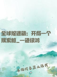 全球捉迷藏：开局一个搜索框