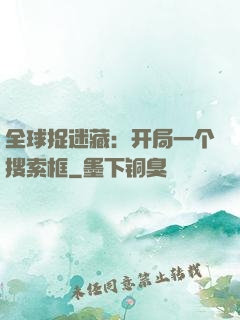 全球捉迷藏：开局一个搜索框