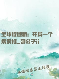 全球捉迷藏：开局一个搜索框