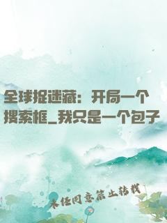 全球捉迷藏：开局一个搜索框