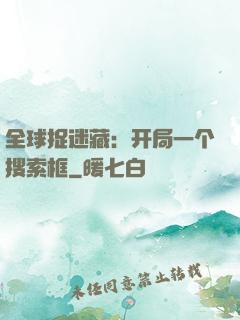 全球捉迷藏：开局一个搜索框