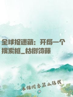 全球捉迷藏：开局一个搜索框