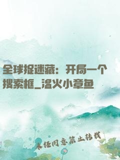 全球捉迷藏：开局一个搜索框