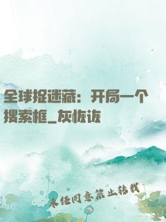 全球捉迷藏：开局一个搜索框