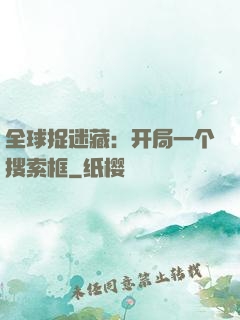 全球捉迷藏：开局一个搜索框