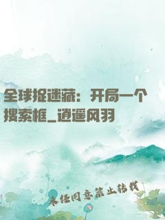 全球捉迷藏：开局一个搜索框