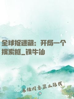 全球捉迷藏：开局一个搜索框
