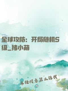 全球攻防：开局随机S级