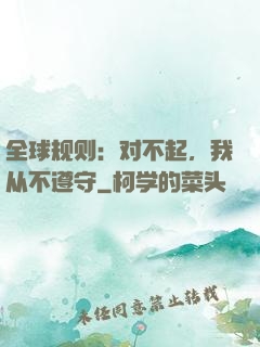 全球规则：对不起，我从不遵守